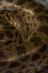 tropic080710-13.jpg