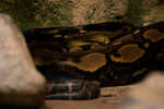 tropic080710-14.jpg