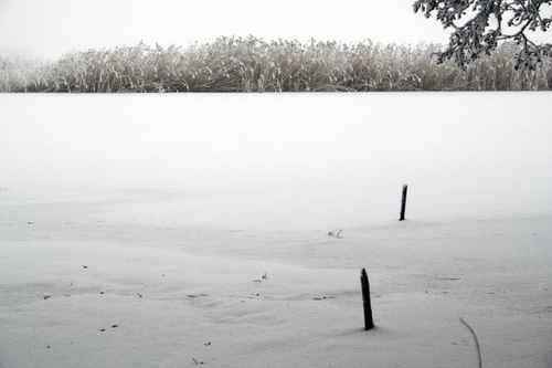Snö