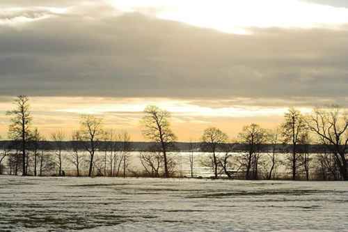 Vinter