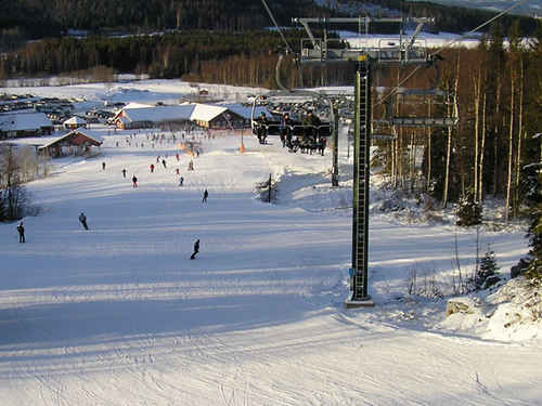 Skidåkning