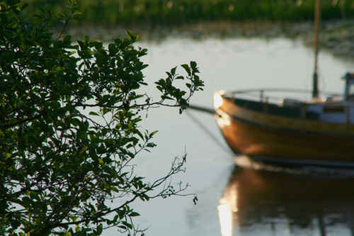 En båt
