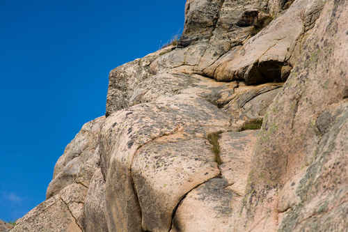 Berg