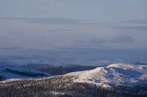 Berg