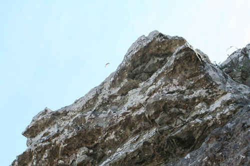 Berg