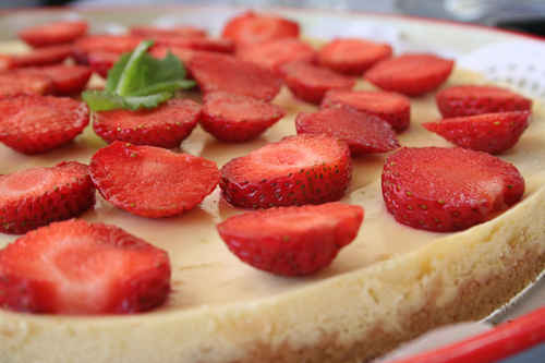 Cheesecake