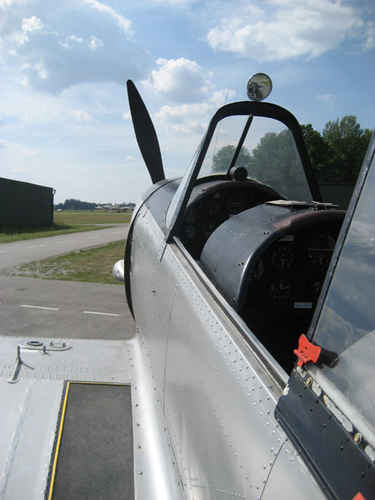 Chipmunk