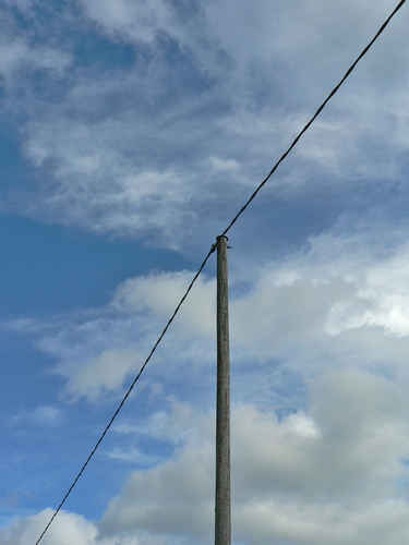 Telefon eller elektricitets stolpe