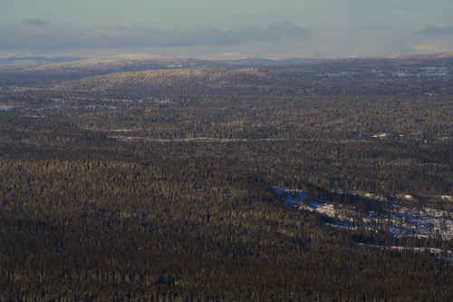 Fjällen