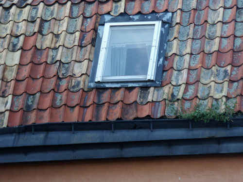 Vindsfönster
