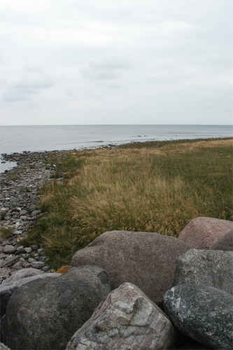 Grästäkt