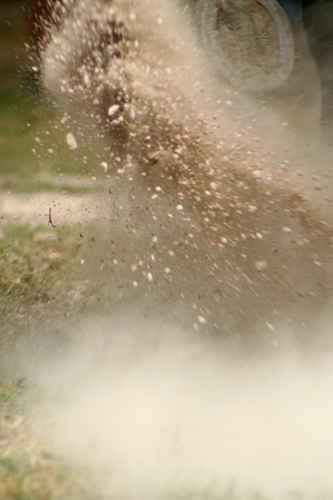 Grus