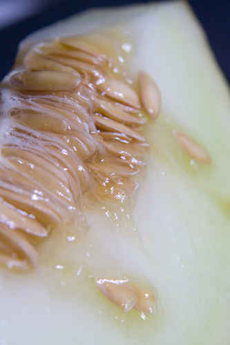 Honungsmelon