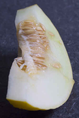 Melon