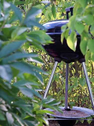 Grill