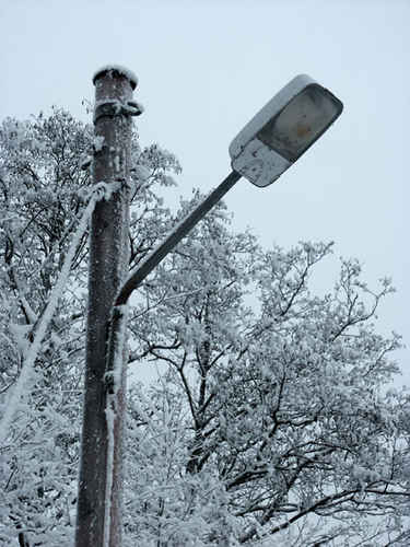 lampa
