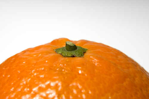 Mandarin.