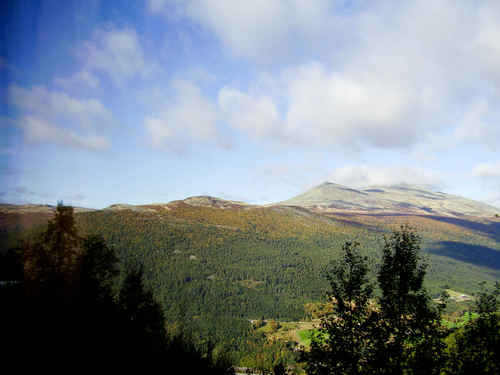 Berg