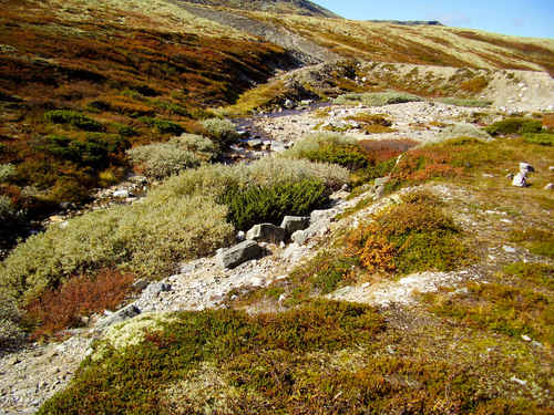 Stenigt fjäll