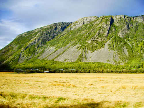 Berg