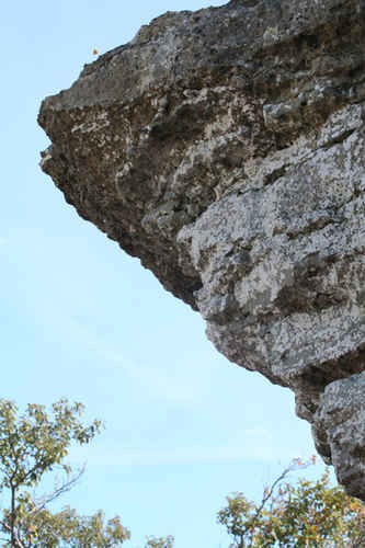 rauk
