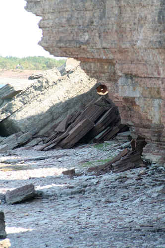 Berg
