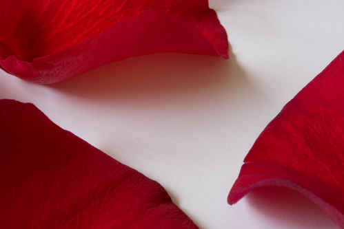 Rosenblad
