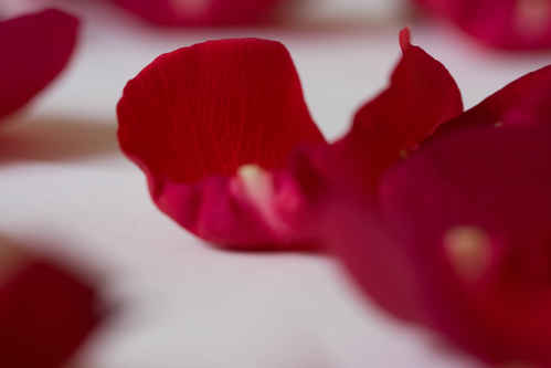 Rosor