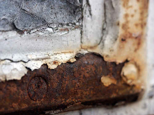 Rost