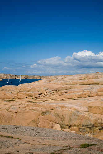 Berg