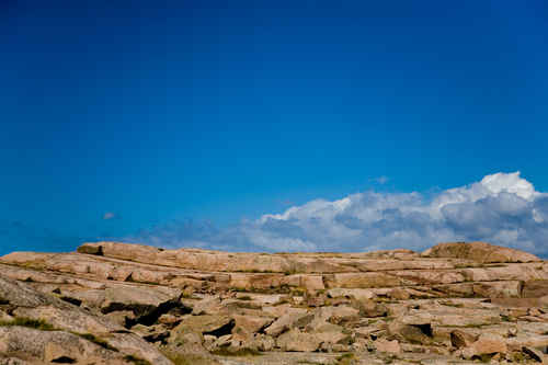 Berg