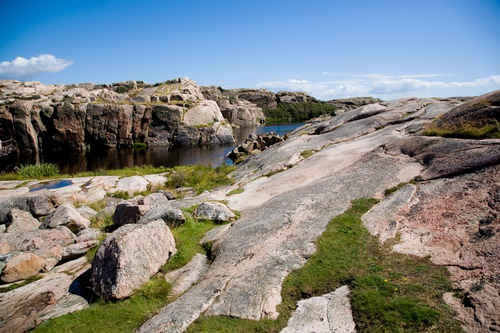 Berg