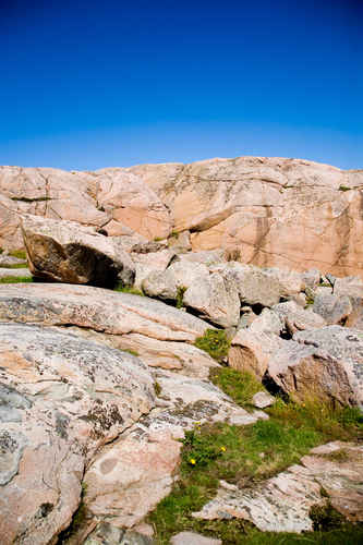 Berg