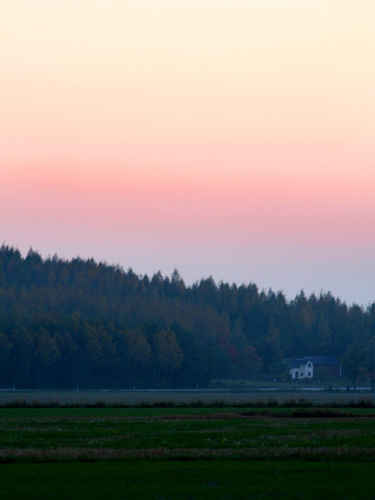 Solnedgång