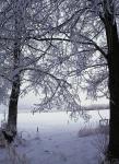 IMG_1937-01.jpg