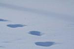 IMG_4161.jpg