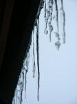 PICT0012.jpg