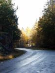PICT00138.jpg