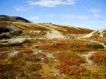 norge-hovringen-5.jpg