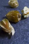 physalis_svart.jpg