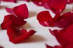 rosor-080411-8.jpg