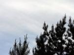 tall~1.jpg