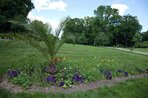 Vasaparken