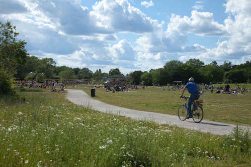 Lögarängen