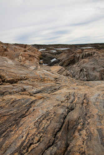 Västkusten