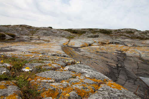 Berg