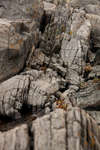 vastkusten100908-25.jpg
