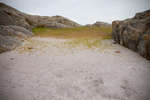 vastkusten100908-43.jpg