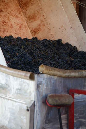 Tillverka vin