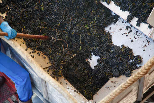 Vintillverkning